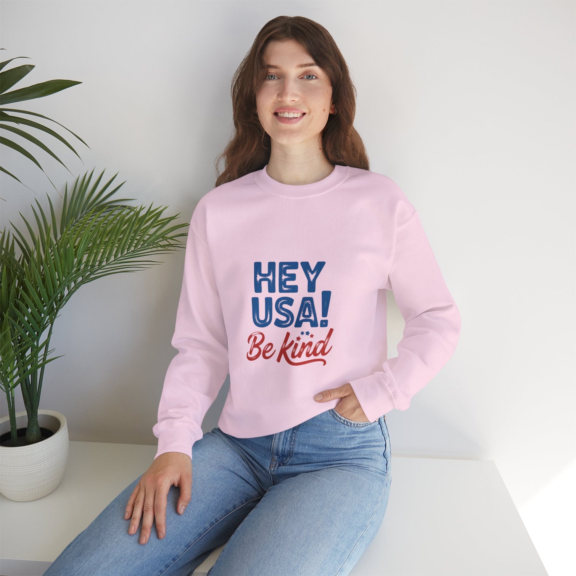 Hey USA! Be Kind and Stop The Hate - Kindcore ComfortsHey USA! Be Kind and Stop The Hate - Kindcore ComfortsSSweatshirtPrintifyKindcore Comforts15784768693991239984